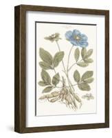 Bashful Blue Florals I-John Miller-Framed Art Print