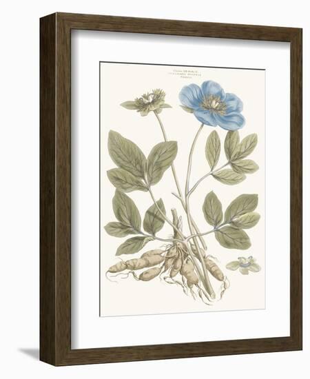 Bashful Blue Florals I-John Miller-Framed Art Print