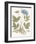 Bashful Blue Florals I-John Miller-Framed Art Print