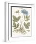 Bashful Blue Florals I-John Miller-Framed Art Print