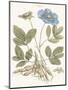 Bashful Blue Florals I-John Miller-Mounted Art Print