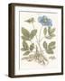 Bashful Blue Florals I-John Miller-Framed Art Print