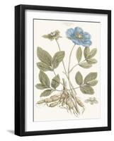 Bashful Blue Florals I-John Miller-Framed Art Print