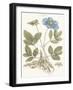 Bashful Blue Florals I-John Miller-Framed Art Print