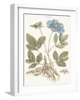 Bashful Blue Florals I-John Miller-Framed Art Print