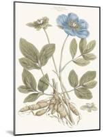 Bashful Blue Florals I-John Miller-Mounted Art Print