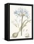 Bashful Blue Florals II-John Miller-Framed Stretched Canvas