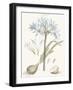 Bashful Blue Florals II-John Miller-Framed Art Print