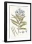 Bashful Blue Florals III-John Miller-Framed Art Print