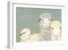 Bashful Sheep II-Jade Reynolds-Framed Art Print