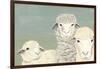 Bashful Sheep II-Jade Reynolds-Framed Art Print