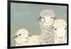 Bashful Sheep II-Jade Reynolds-Framed Art Print