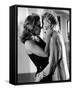 Basic Instinct-null-Framed Stretched Canvas