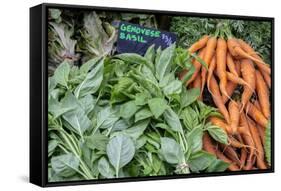 Basil and carrots at farmer's market, USA-Jim Engelbrecht-Framed Stretched Canvas