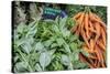 Basil and carrots at farmer's market, USA-Jim Engelbrecht-Stretched Canvas