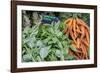 Basil and carrots at farmer's market, USA-Jim Engelbrecht-Framed Photographic Print