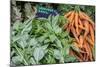 Basil and carrots at farmer's market, USA-Jim Engelbrecht-Mounted Photographic Print