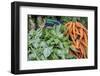 Basil and carrots at farmer's market, USA-Jim Engelbrecht-Framed Photographic Print