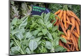 Basil and carrots at farmer's market, USA-Jim Engelbrecht-Mounted Photographic Print