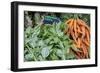 Basil and carrots at farmer's market, USA-Jim Engelbrecht-Framed Photographic Print