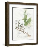 Basil and Thyme-Elissa Della-piana-Framed Art Print