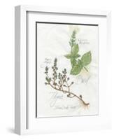 Basil and Thyme-Elissa Della-piana-Framed Art Print