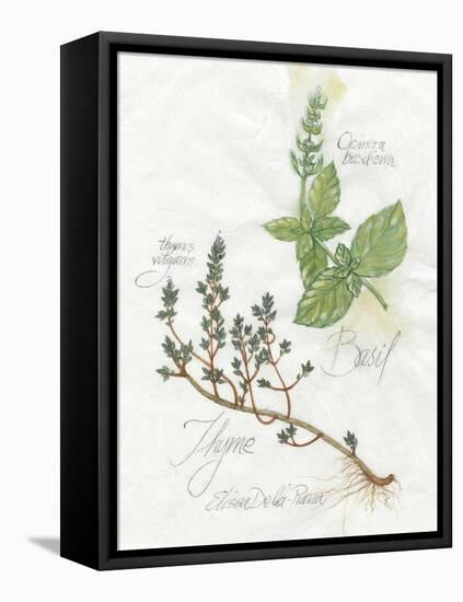 Basil and Thyme-Elissa Della-piana-Framed Stretched Canvas