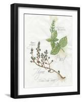 Basil and Thyme-Elissa Della-piana-Framed Art Print