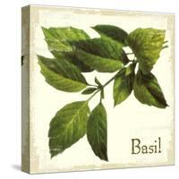 Basil antique-The Saturday Evening Post-Stretched Canvas