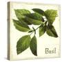 Basil antique-The Saturday Evening Post-Stretched Canvas
