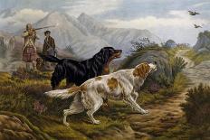 Grouse Hunting, 1880-Basil Bradley-Giclee Print