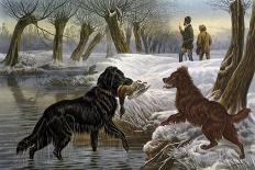 Pictures at the Burlington Gallery, Big Game of America-Basil Bradley-Giclee Print
