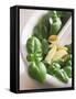 Basil, Garlic and Pine Nuts (Ingredients for Pesto)-null-Framed Stretched Canvas