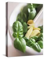 Basil, Garlic and Pine Nuts (Ingredients for Pesto)-null-Stretched Canvas