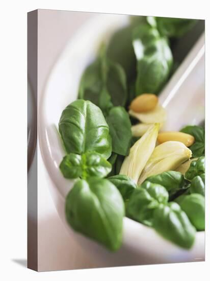 Basil, Garlic and Pine Nuts (Ingredients for Pesto)-null-Stretched Canvas