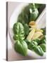Basil, Garlic and Pine Nuts (Ingredients for Pesto)-null-Stretched Canvas