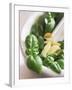 Basil, Garlic and Pine Nuts (Ingredients for Pesto)-null-Framed Photographic Print