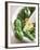 Basil, Garlic and Pine Nuts (Ingredients for Pesto)-null-Framed Photographic Print