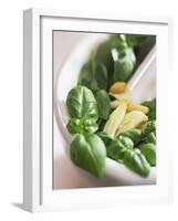 Basil, Garlic and Pine Nuts (Ingredients for Pesto)-null-Framed Photographic Print