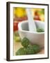 Basil in a Mortar-Alena Hrbkova-Framed Photographic Print