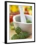 Basil in a Mortar-Alena Hrbkova-Framed Photographic Print