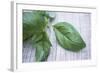 Basil Leaves-Maxine Adcock-Framed Premium Photographic Print