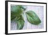 Basil Leaves-Maxine Adcock-Framed Premium Photographic Print