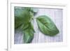 Basil Leaves-Maxine Adcock-Framed Photographic Print