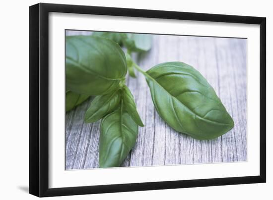 Basil Leaves-Maxine Adcock-Framed Photographic Print