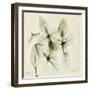 Basil Moment-Albert Koetsier-Framed Art Print