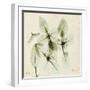 Basil Moment-Albert Koetsier-Framed Art Print