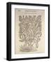 Basil (Ocymum Basilicum), 1554-Pier Andrea Mattioli-Framed Giclee Print