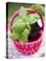 Basil Plants in Pink Basket-null-Stretched Canvas