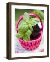 Basil Plants in Pink Basket-null-Framed Photographic Print